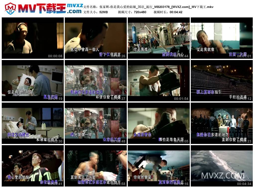 张家辉-你是我心爱的姑娘_国语_流行_MB203178